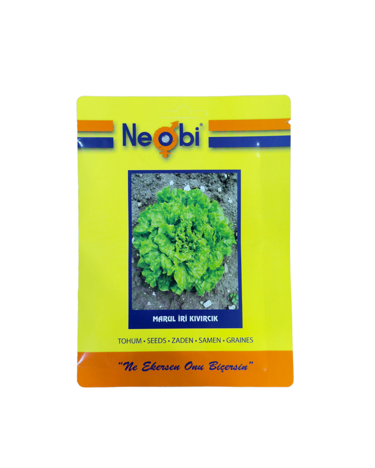 Neobi Marul İri Kıvırcık Tohumu