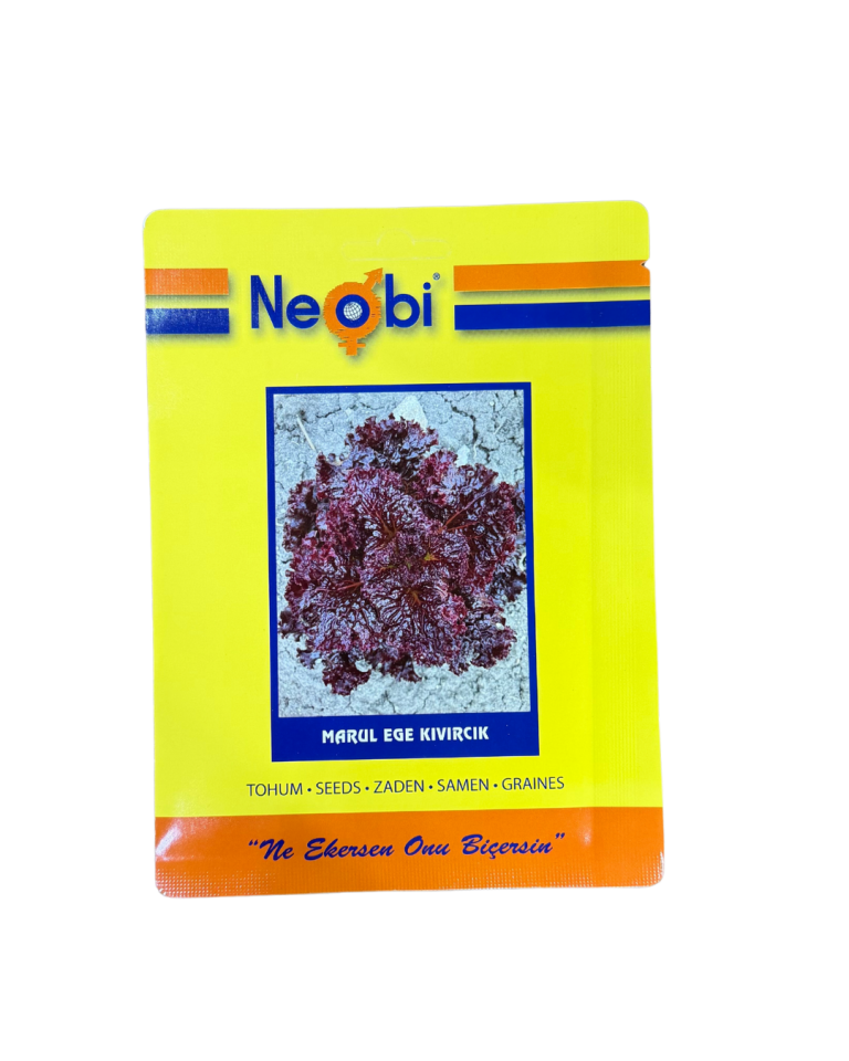 Neobi Marul Ege Kıvırcık Tohumu